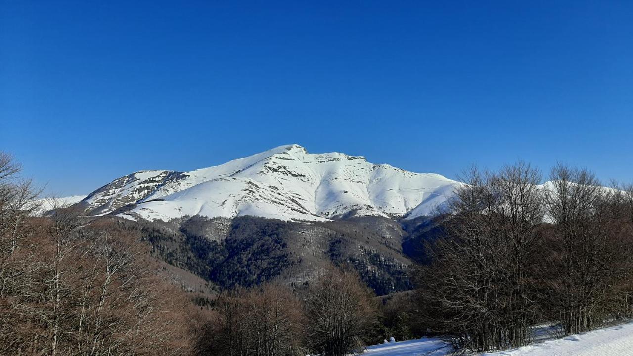 Alaisuberri Oronz